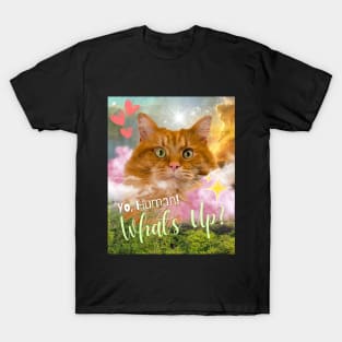 Curious Cat T-Shirt